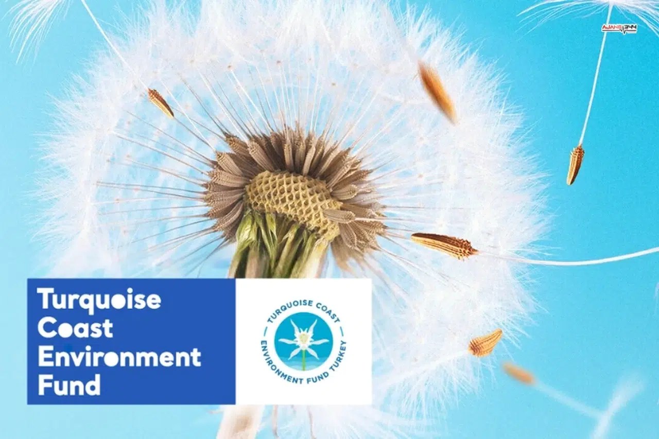 Hibe Programı Başvuruları Başladı: Güney ve Batı Kıyıları İçin Destek