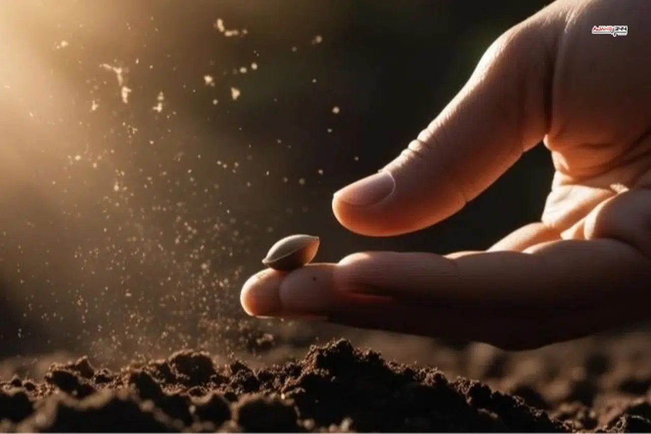 Tohumculuk sektöründeki 'Rekabet' soruşturması genişletildi, yeni firmalar eklendi