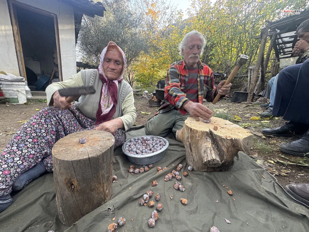 Toroslar’da Şifa Kaynıyor: Andız Pekmezi