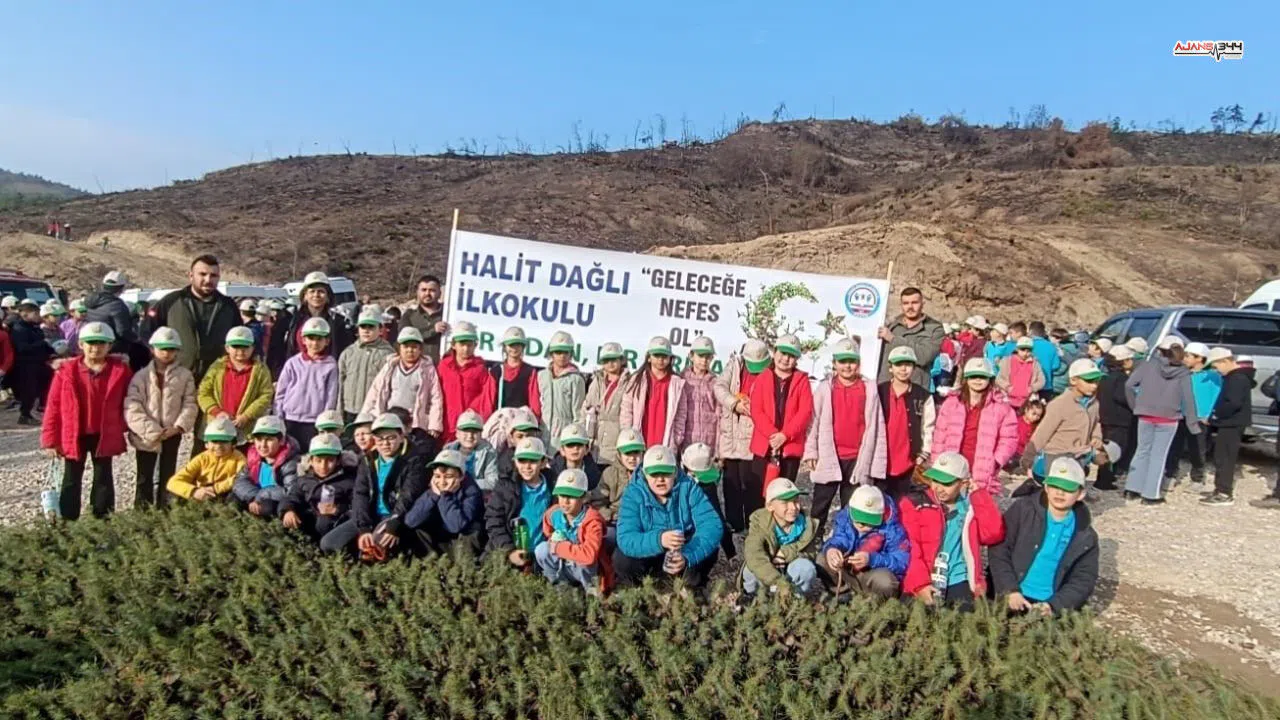 Minik eller 2 bin 500 fidanla doğaya hayat verdi
