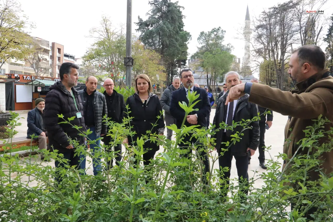 Yeni Cuma Parkı yazın botanik bahçesine dönüşecek