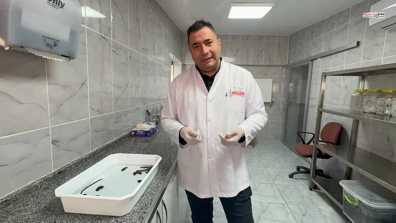 Yılda 20 Bin Tıbbi Sülük Üretiliyor