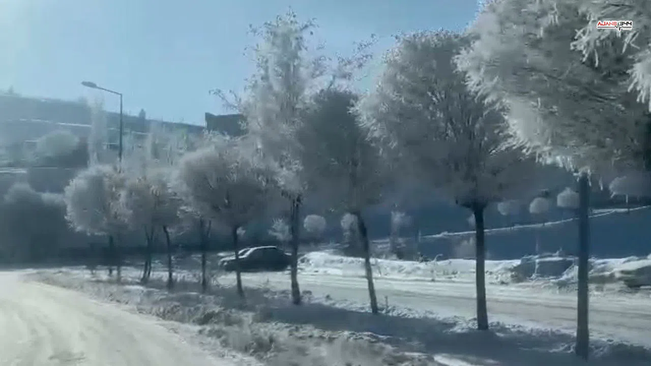 Yoğun buzlanma ve kırağı, doğada nadir görülen manzaralar yarattı