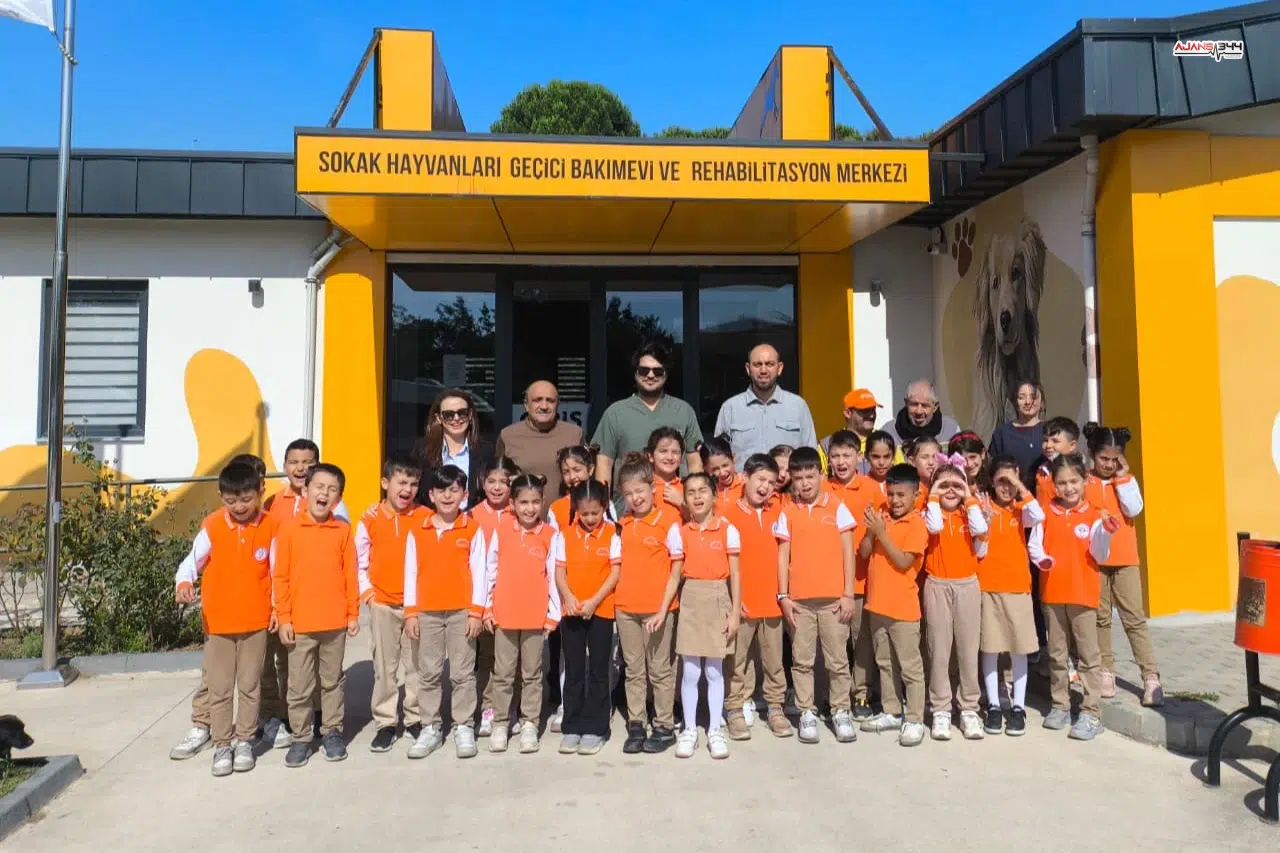 2025'te 328 can dostuna yuva oldu