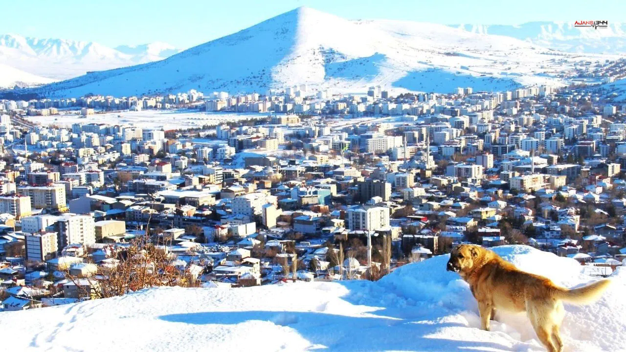 Afşin’de Kar Yağışı Sonrası Kartpostallık Görüntüler