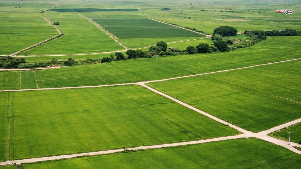 Onikişubat’ta 10 Bin Metrekarelik Arsa İcradan Satışta