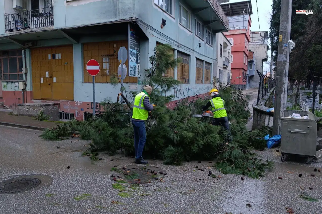 Kuvvetli Lodos 42 Kez Müdahale Getirdi