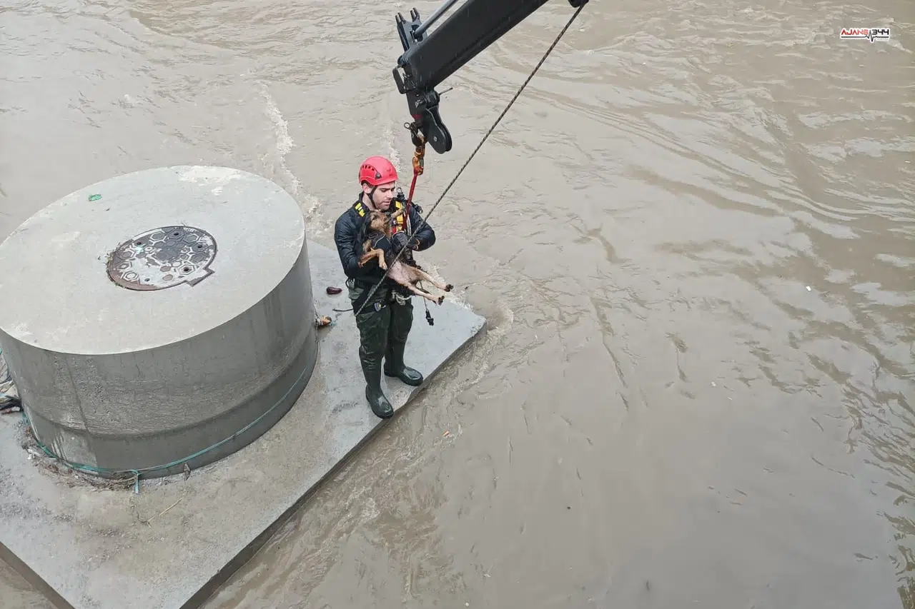 Derede köpek kurtarma operasyonu