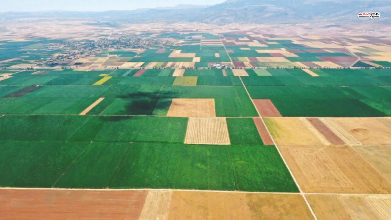 Elbistan’da 9 bin 690 metrekare tarım arazisi icradan satışta