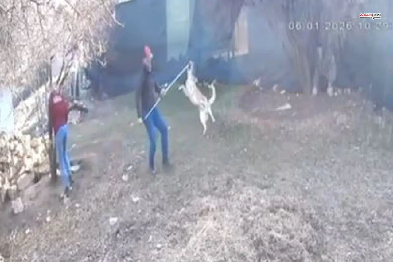 Köpek Götürme Görüntüsü Tartışma Yarattı