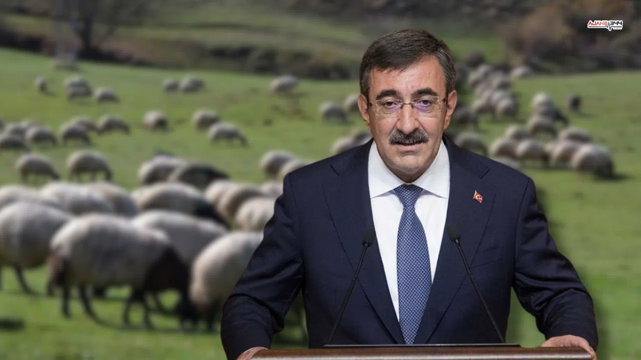 Hayvancılık İçin Kritik Talepler Külliye’de Gündeme Geldi