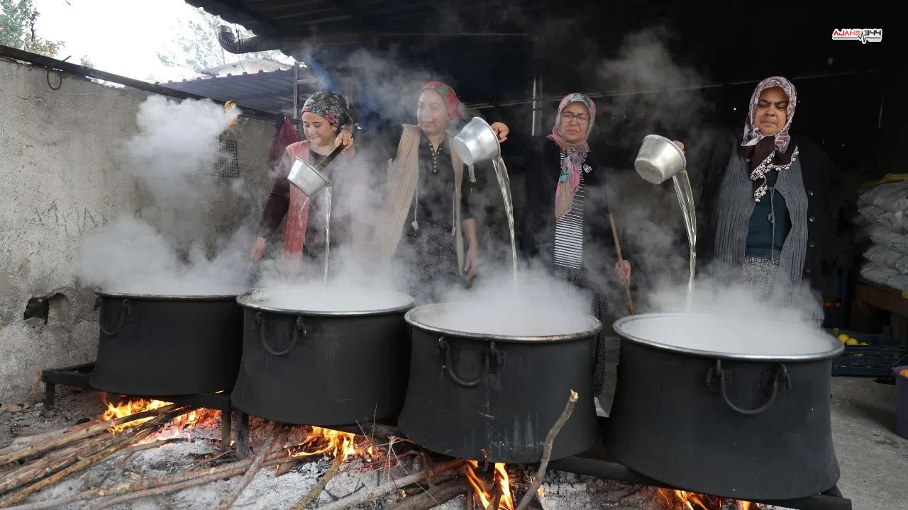 Dalında değersiz olan turunç kadınların elinde sofralık lezzete dönüşüyor