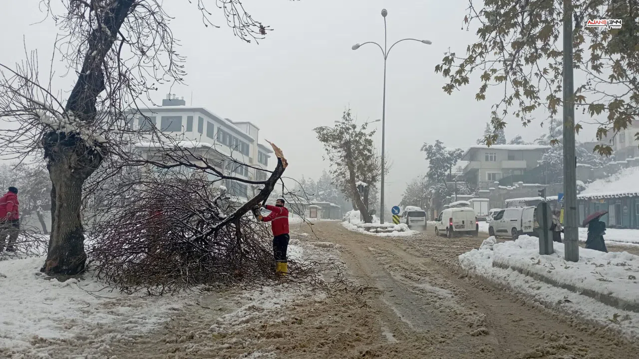 Kahramanmaraş’ta kar sonrası kırılan ağaç dallarına anında müdahale