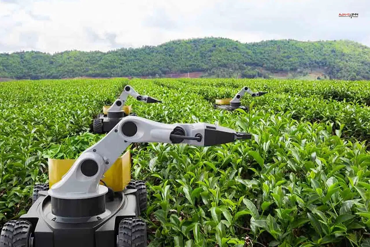 2026 'Kamusal Zekâ Yılı' İlan Edildi