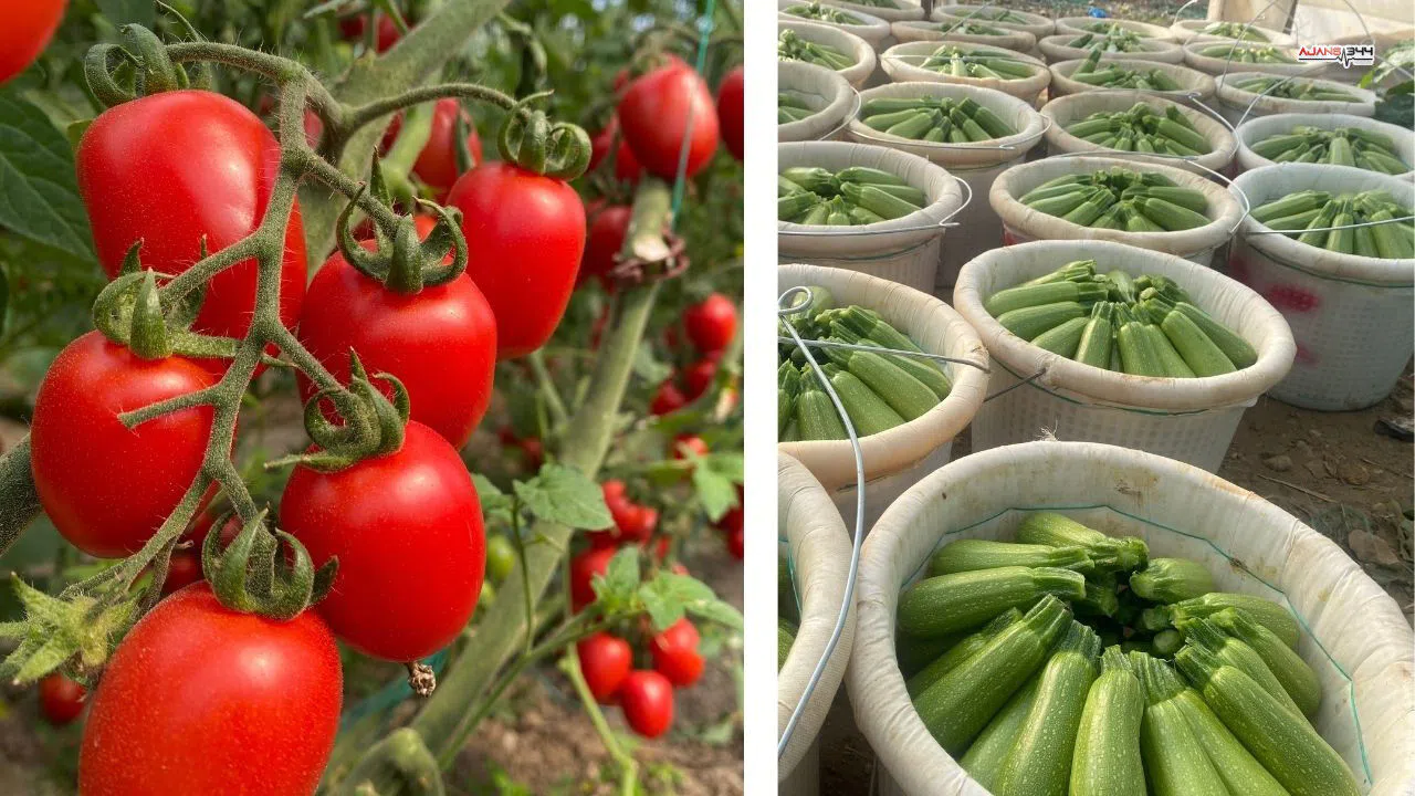 Ticaret borsasından şaşırtan tablo: Meyveye zam, sebzeye indirim