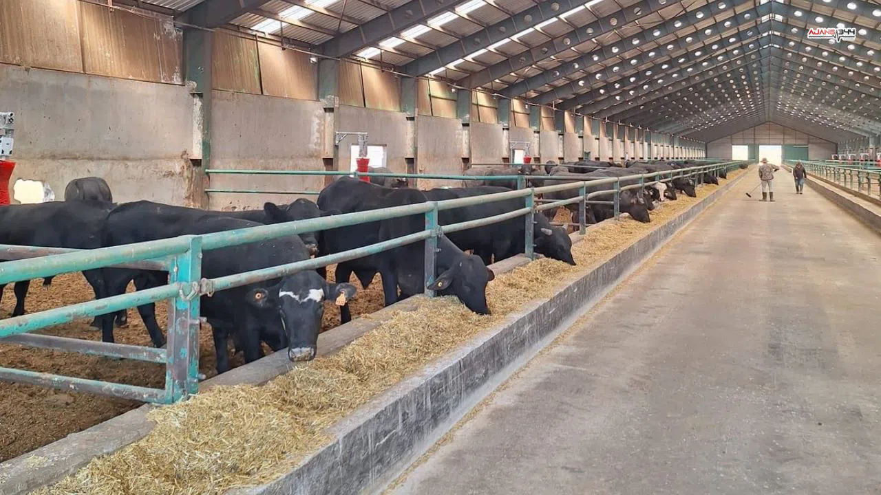 İl genelinde 2025 yılı kırsal kalkınma yatırımları tamamlandı