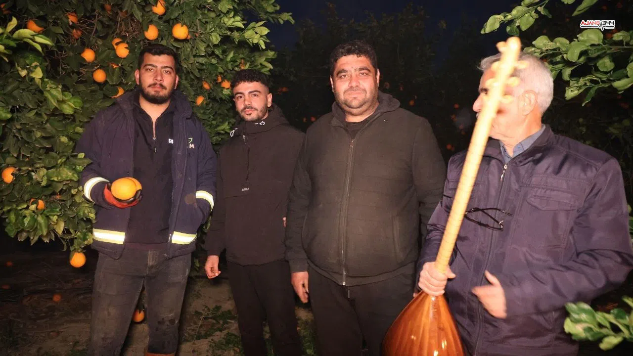 Portakalların dona karşı mücadelesinde müzikli nöbet