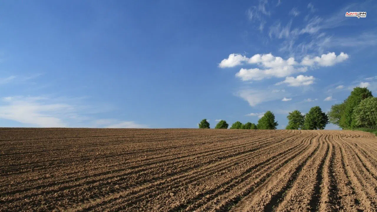 Onikişubat'da 9 bin m² çiftlik arazisi satışa çıktı