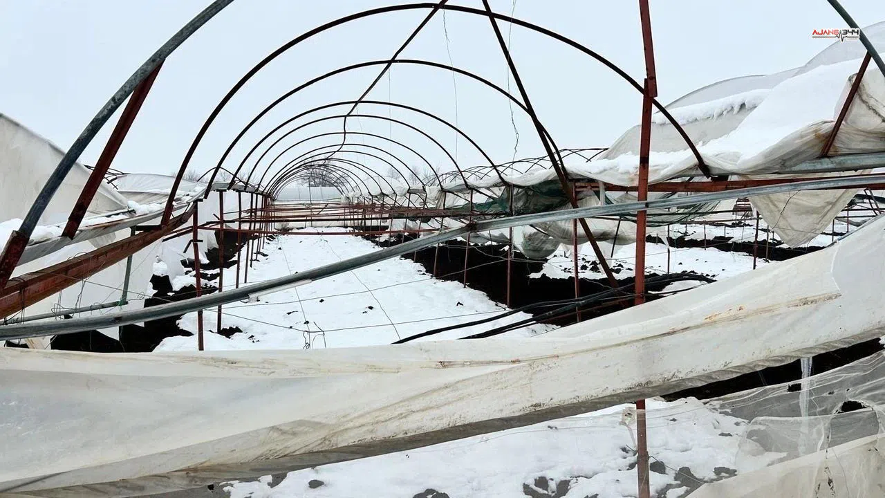 Türkoğlu’nda Yoğun Kar Seralara Zarar Verdi