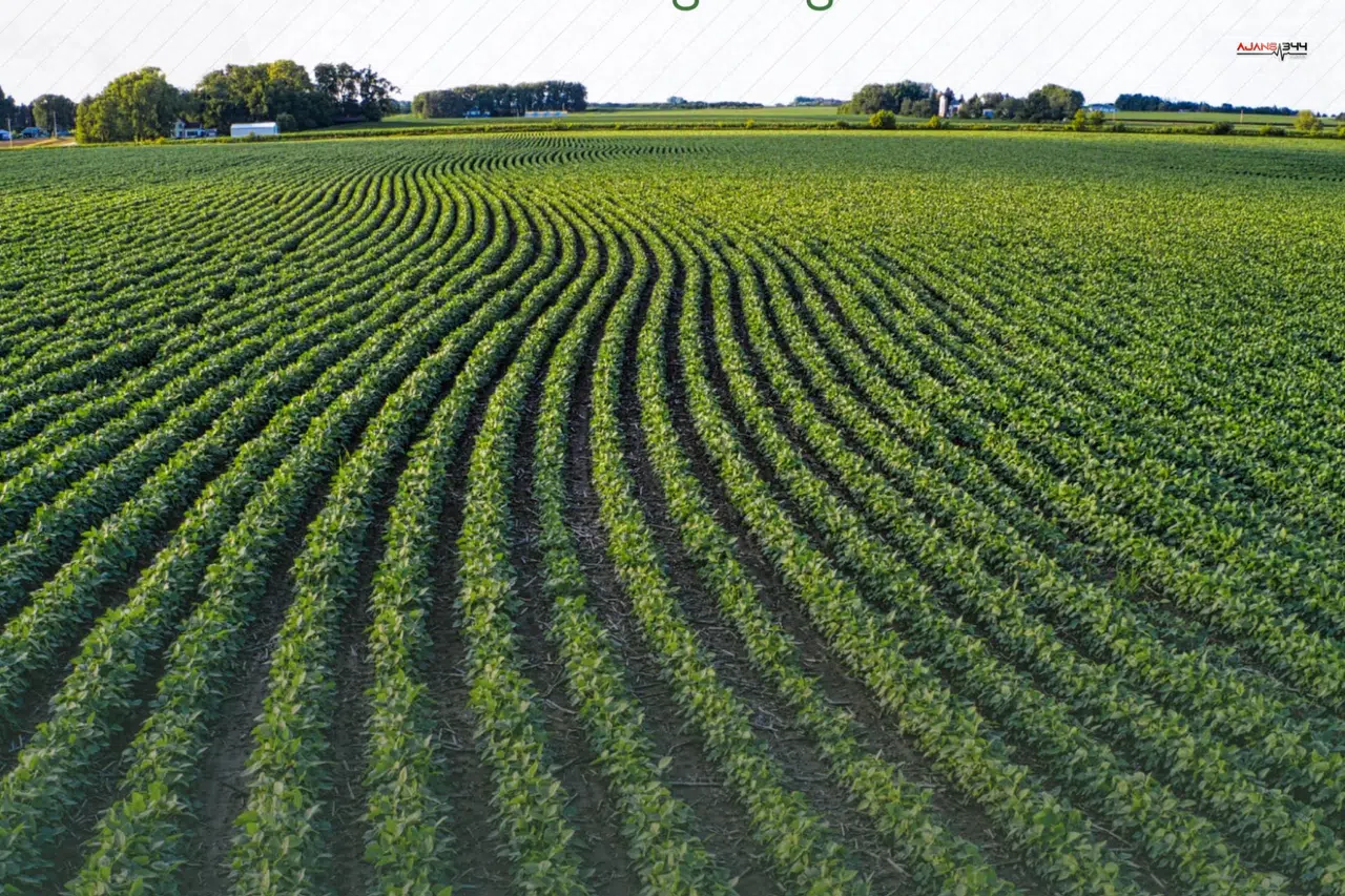 TAKE ile tarım arazileri daha verimli kullanılıyor