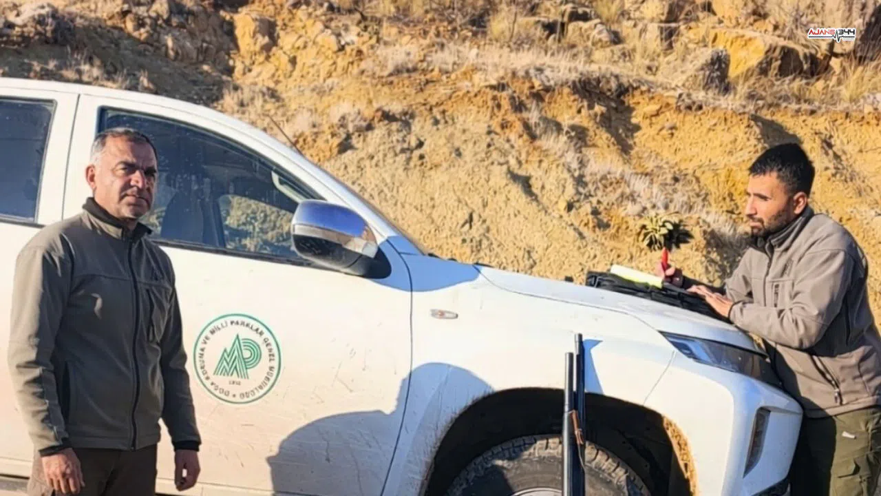 Yasa dışı yaban keçisi avcılarına 2,9 milyon liralık ceza yağdı