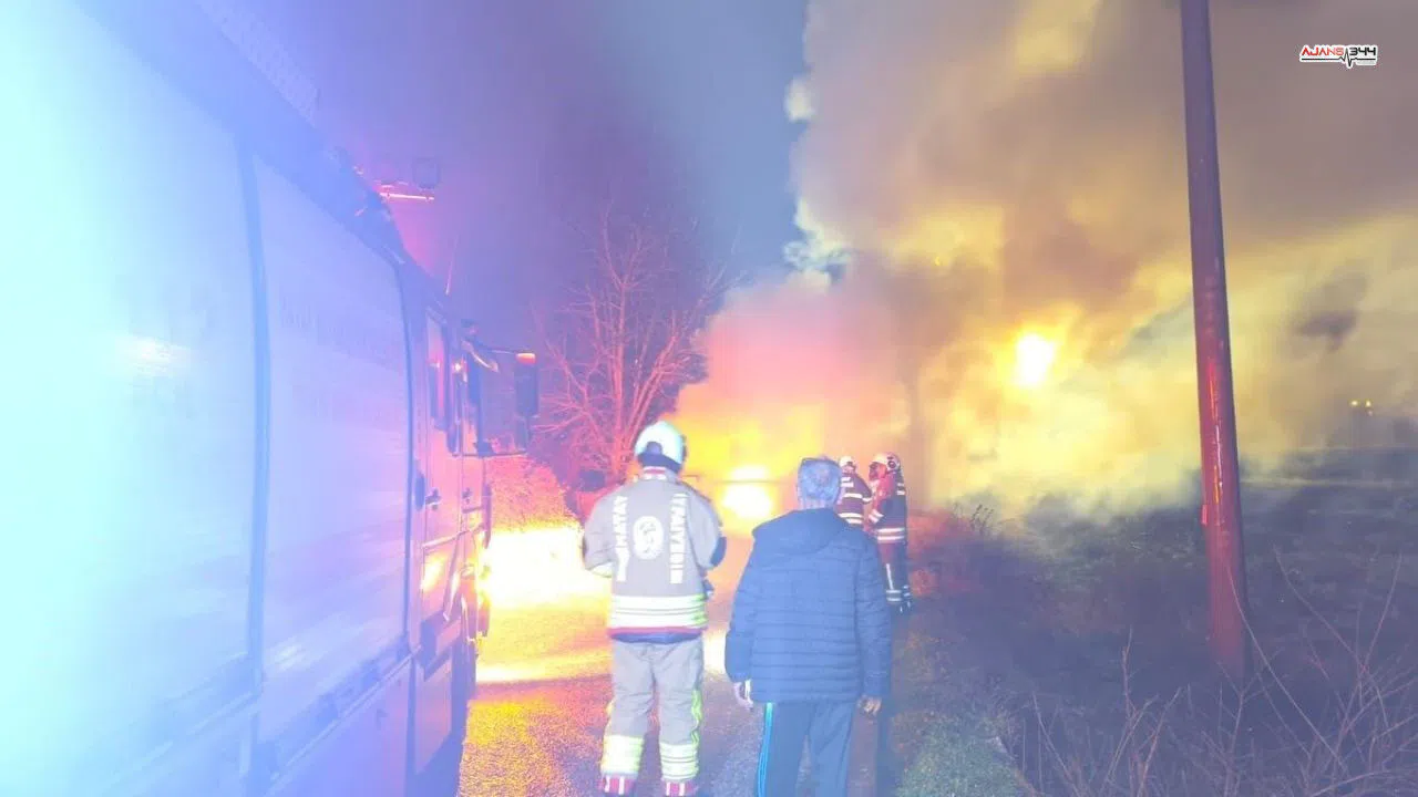 Dörtyol'da seyir halindeki araç yolda alevlere teslim oldu