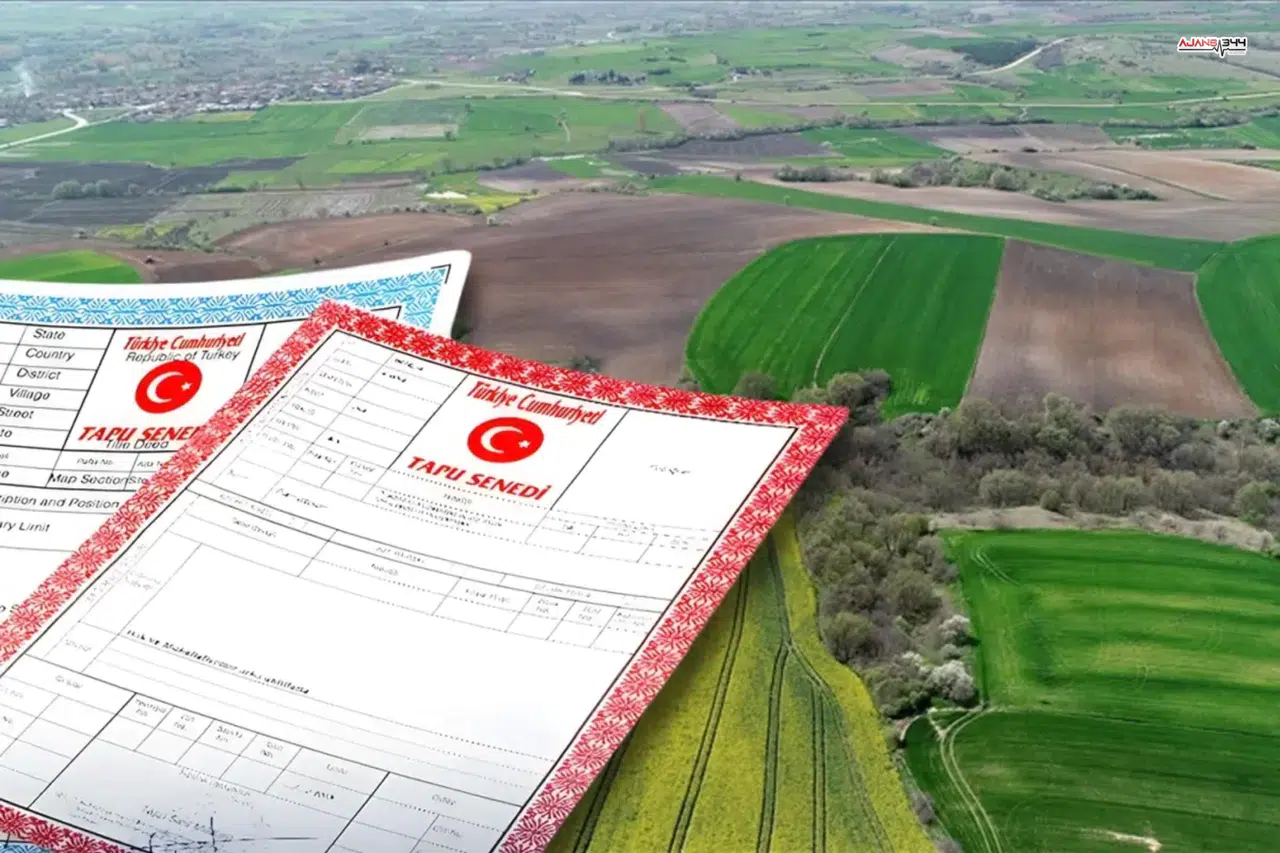 Yargıtay’dan Ortak Tapuya Kritik Şufa Kararı