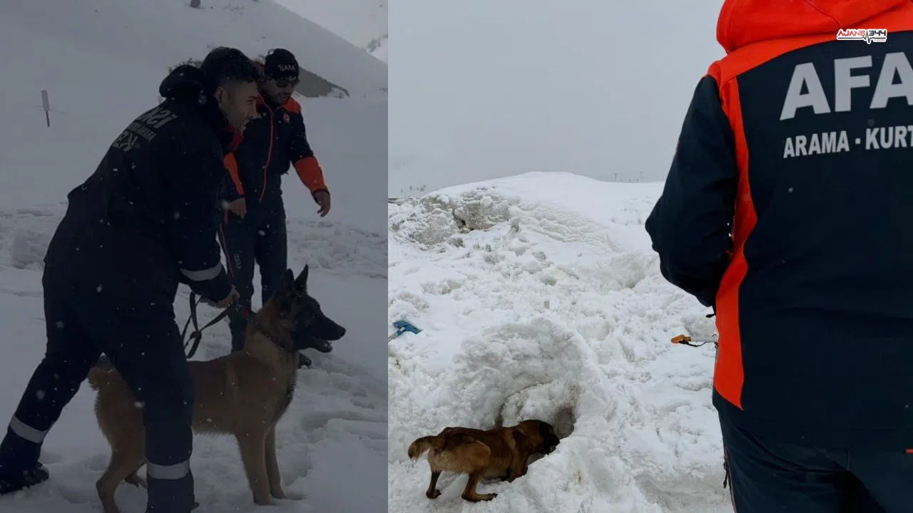 AFAD’dan Köpekli Arama Kurtarma Eğitimi