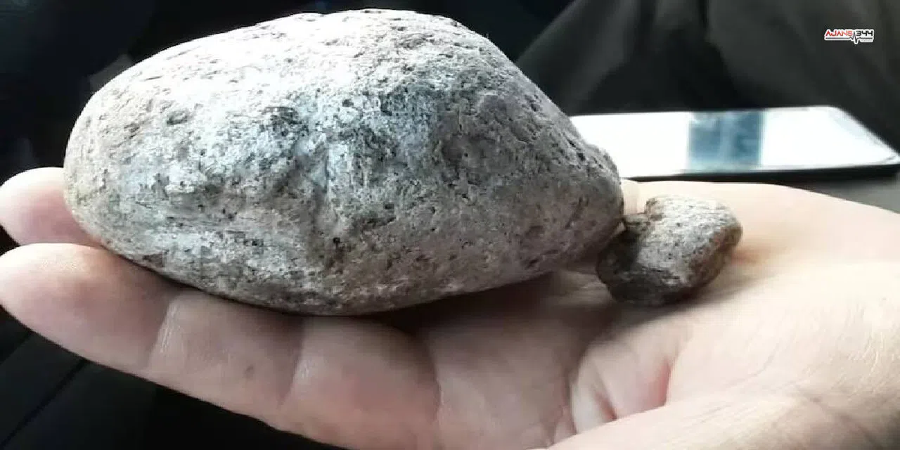 Gören Sıradan Bir Taş Sanıyor, Bulan Köşeyi Dönüyor