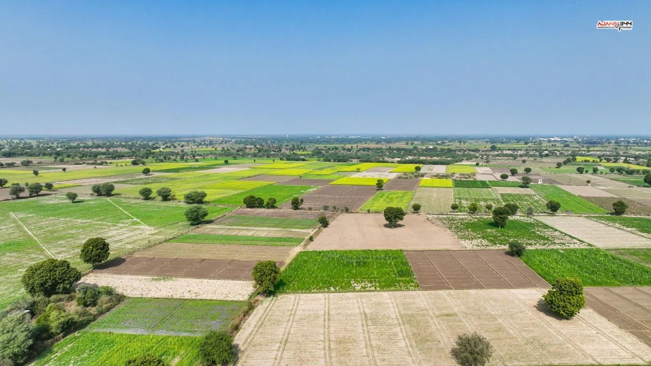 Kahramanmaraş’ta Bahçe Parseli İcradan Satışta