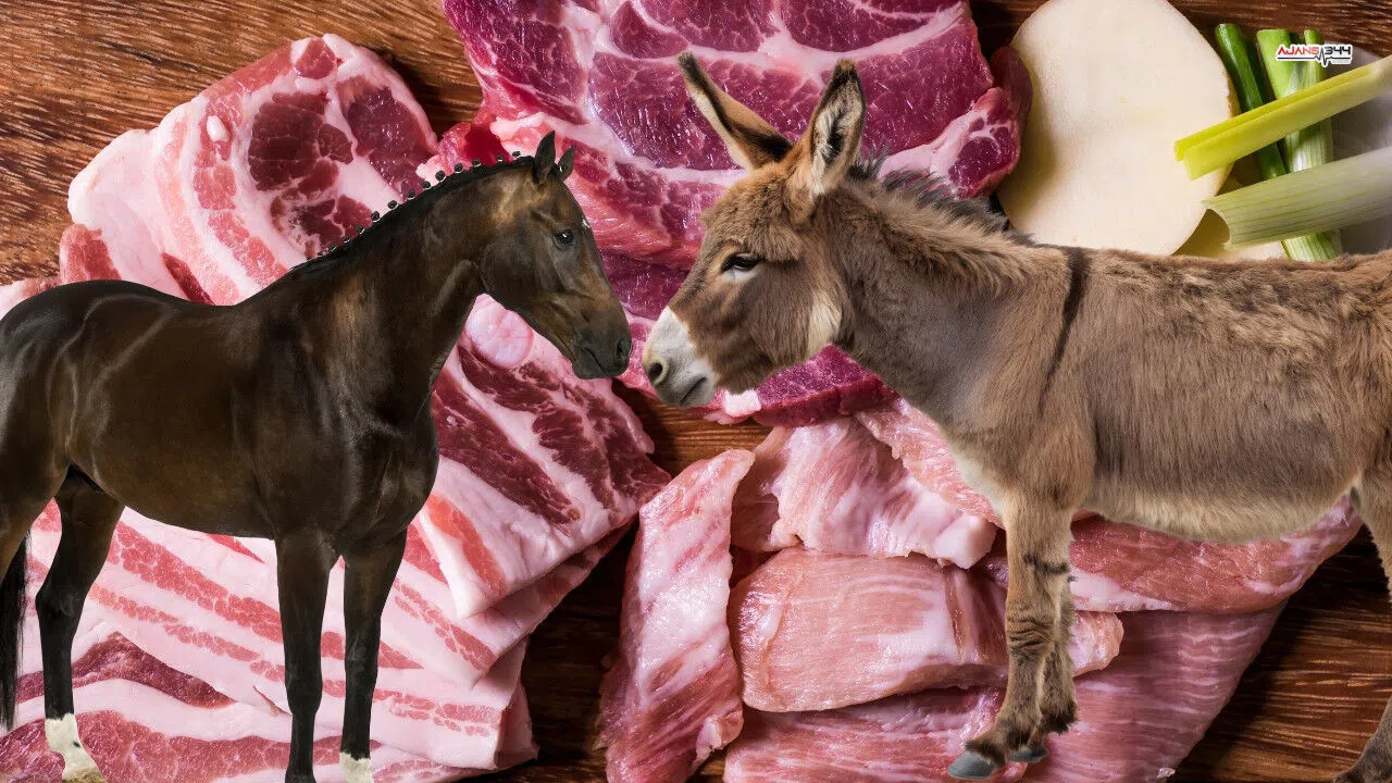 Kahramanmaraş’ta zincir market dönerinde at ve eşek eti skandalı
