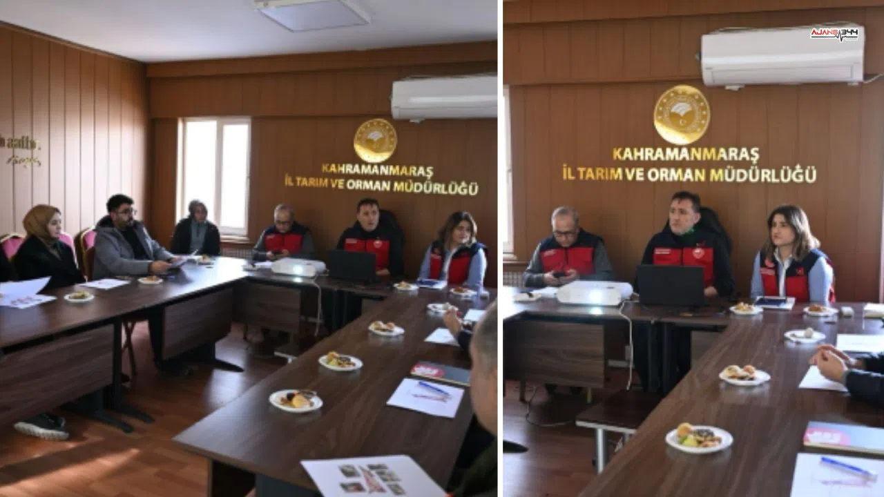 Kesimhanelerde Karkas Standardı İçin Teknik Eğitim