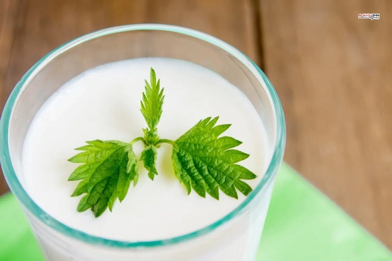 Ramazan'da susuz kalmayın... Süt ve ayran hidrasyonun gizli kahramanları