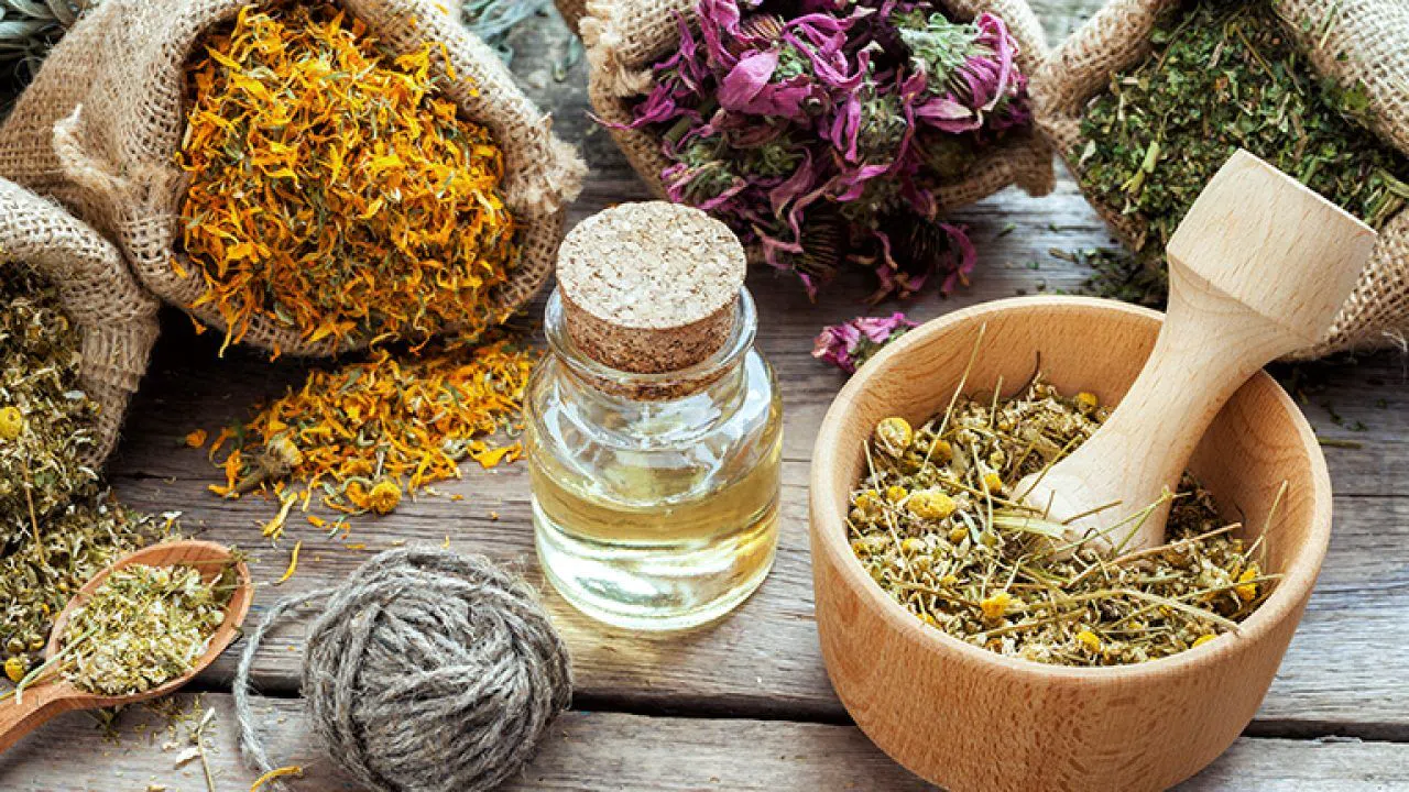 Toprakta kendiliğinden yetişiyor: Pek çok derde deva olduğu açıklandı!