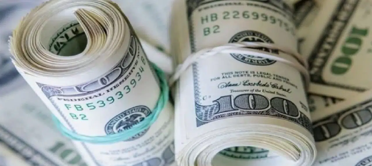 Dolar ve euro uçuyor