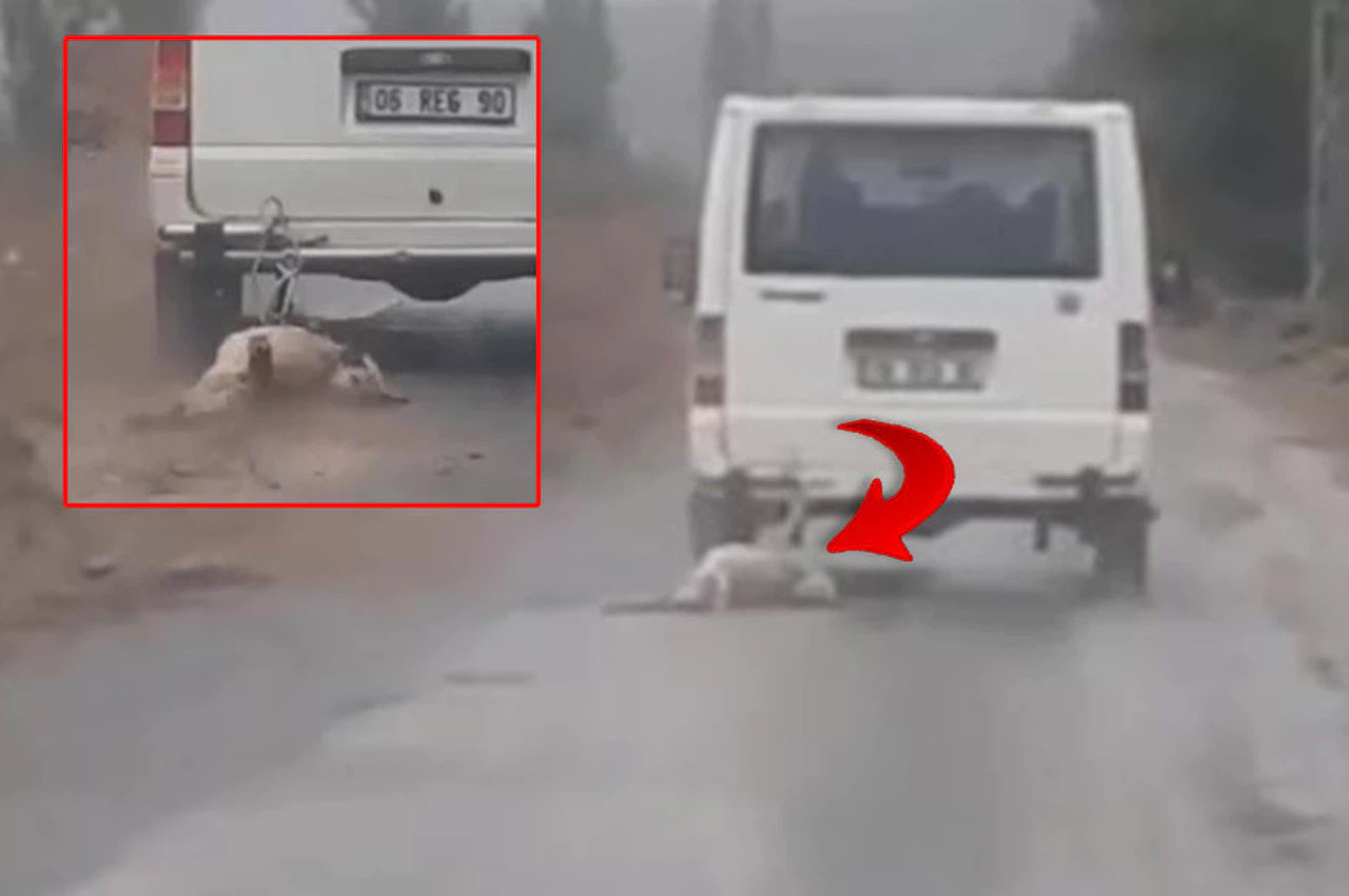 İnsanlık Ayıbı: Köpek Minibüsle Sürüklendi!