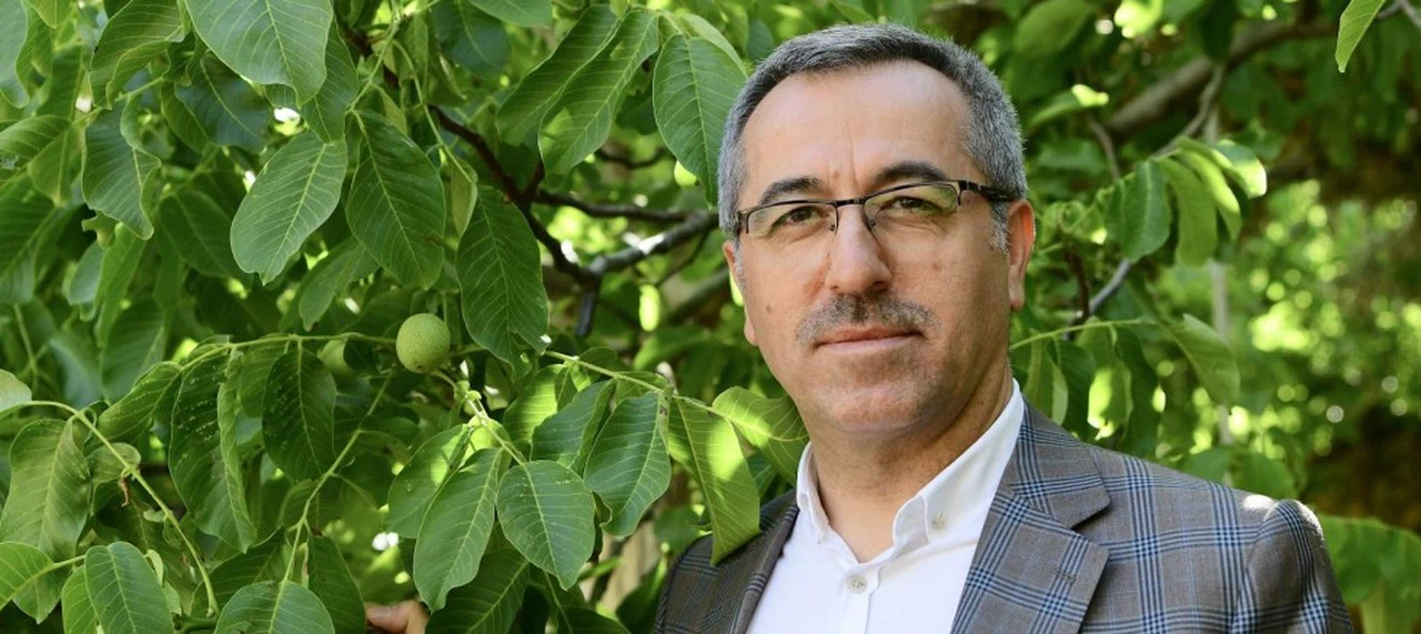 Kahramanmaraş’ın AB Tescilli İlk Ürünü; Çağlayancerit Cevizi