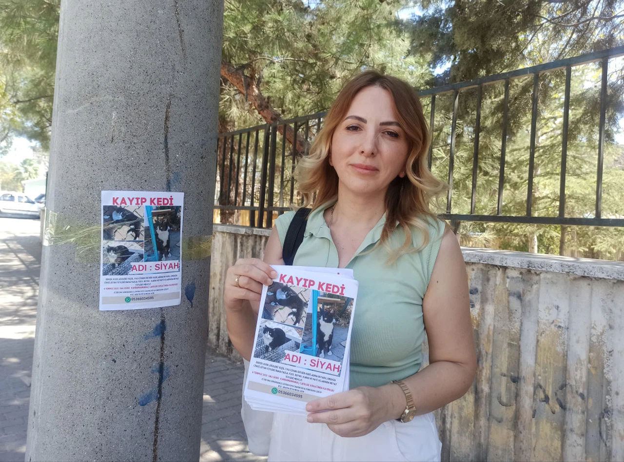 Kahramanmaraş'ta Öğretmen, kaybolan kedisini arıyor 
