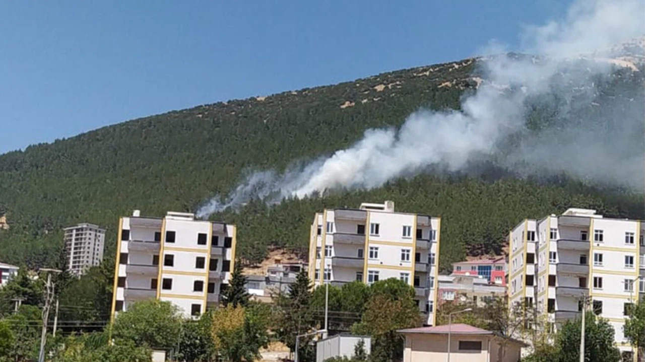 Kahramanmaraş’ta orman yangını   