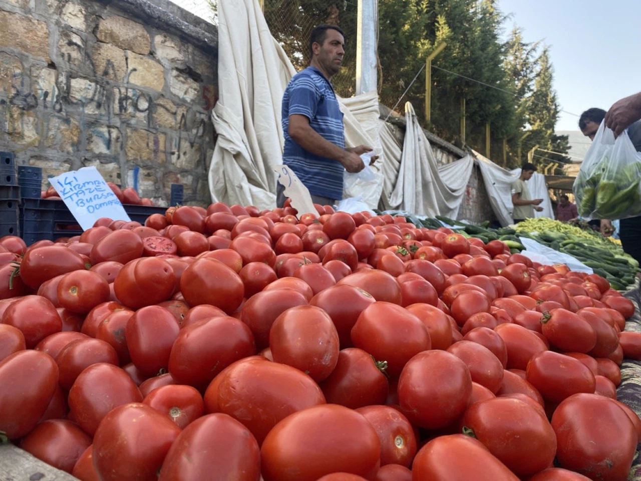 Kahramanmaraş'ta Salçalık domates ve biberler tezgahlarda   