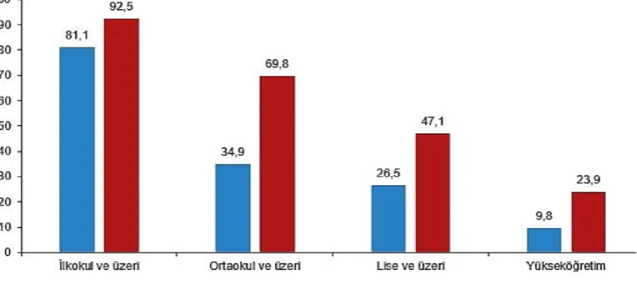 Ulusal Eğitim İstatistikleri