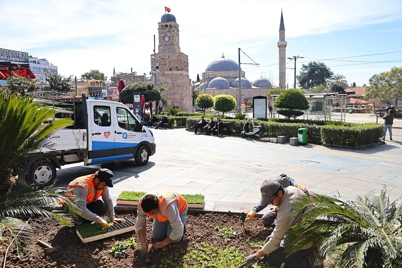 4 milyon yazlık çiçekle bahara hazırlanıyor