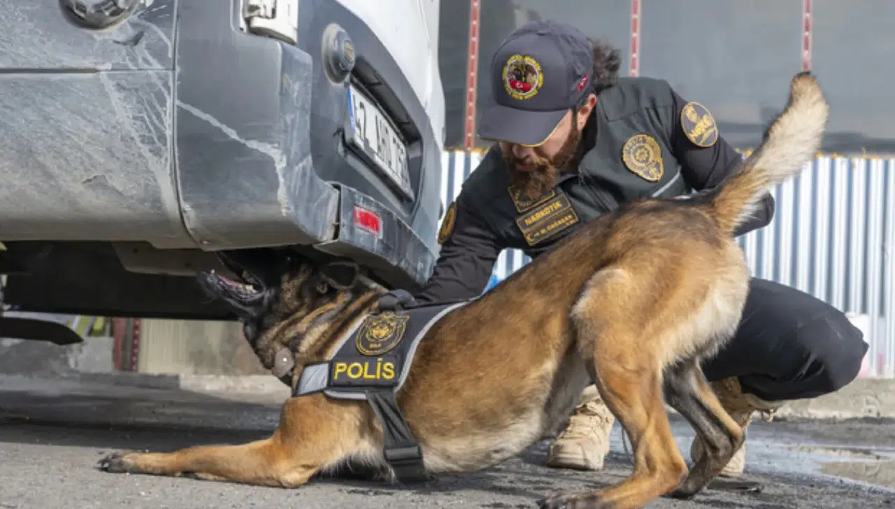 Maraş'ta uyuşturucu operasyonunda 45 kişi gözaltına alındı