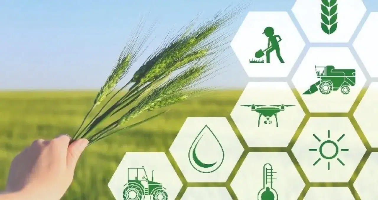 Kahramanmaraş 94 proje arasında yer aldı! Öğretmenler tarım için buluşacak