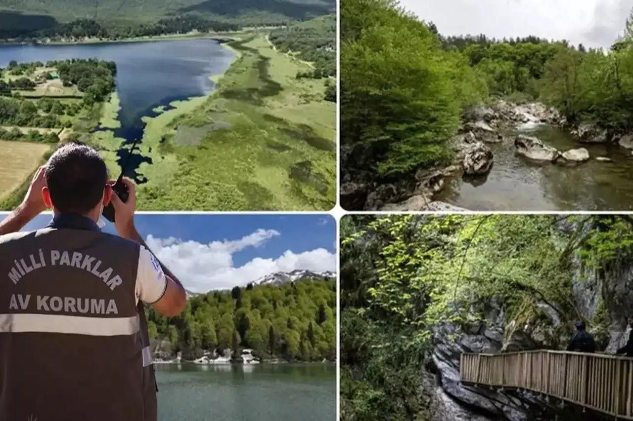 "Doğa Koruma ve Milli Parklar Uzmanlığı İçin Tez Şartı Getirildi"