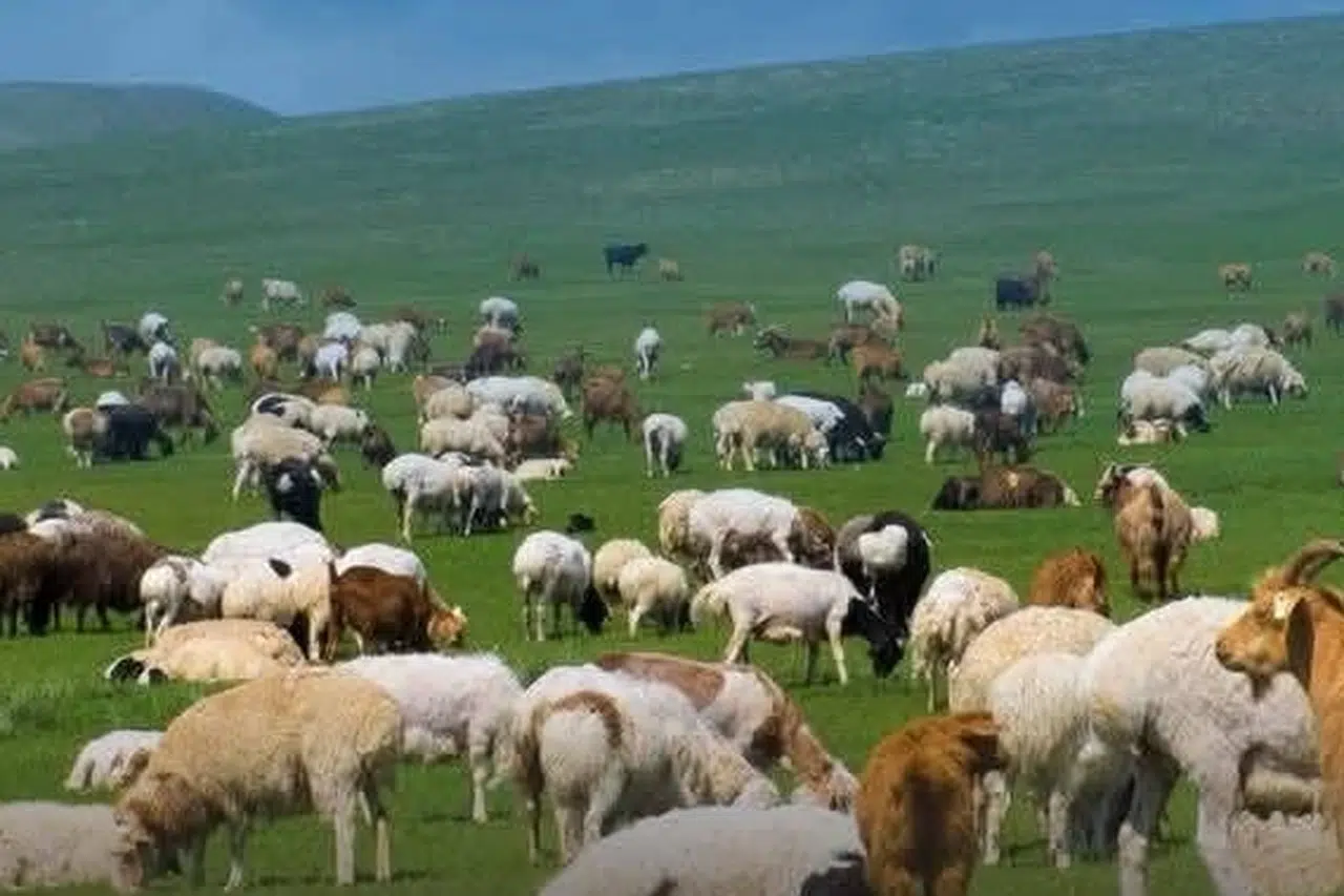 Kırsal Alanda Bereket Programı için Başvurular 30 Nisan'da Sona Eriyor!