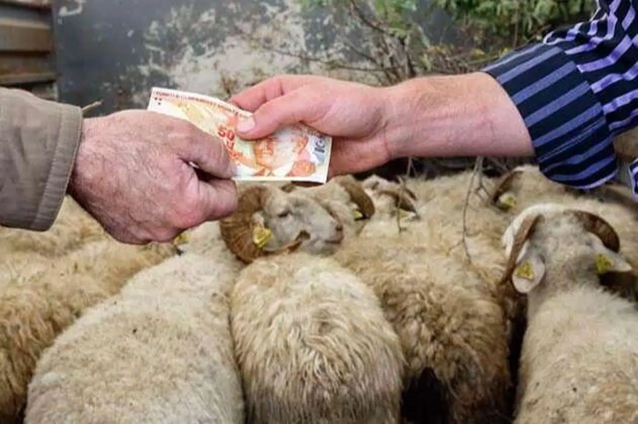 2026 Kurban Hizmetleri Tebliği Resmi Olarak Onaylandı