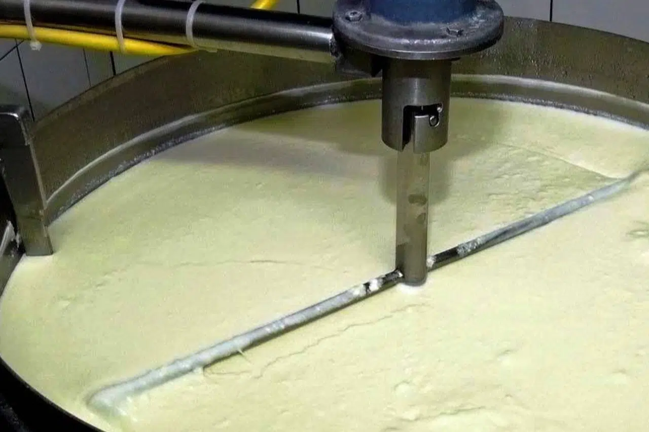 Süt Ürünleri Üretiminde Dev İvme: Yoğurt Üretimi Zirvede!