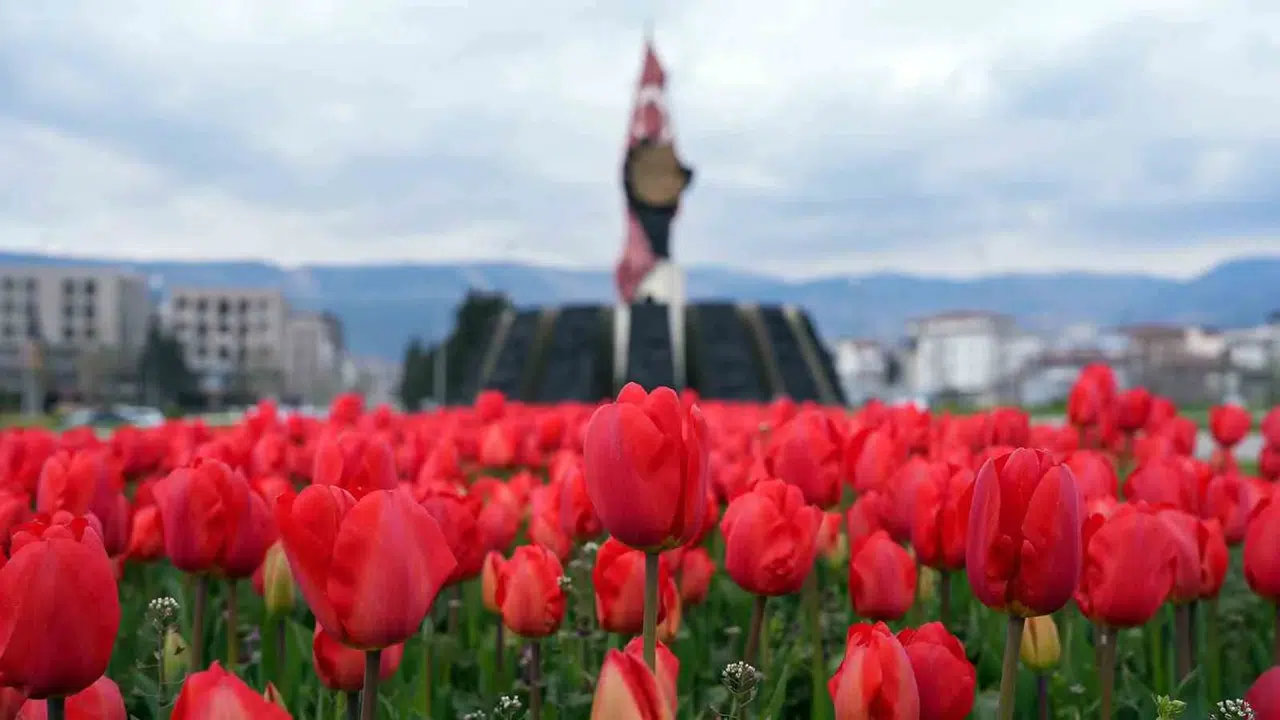 Bahar İçin Rengarenk Peyzaj Düzenlemeleri Yapıldı