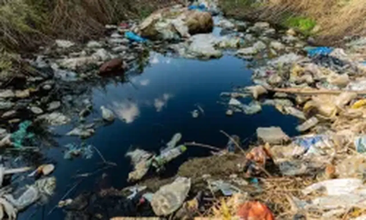 Prof. Dr. Ünüsan: Mikroplastik Sorununa Bitki Tabanlı Çözümler Umut Vadediyor, Ancak...
